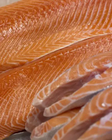 Une plus grande incertitude dans l'industrie de la pêche après l'UE non 11 Une plus grande incertitude dans l'industrie de la pêche après l'UE non - 10