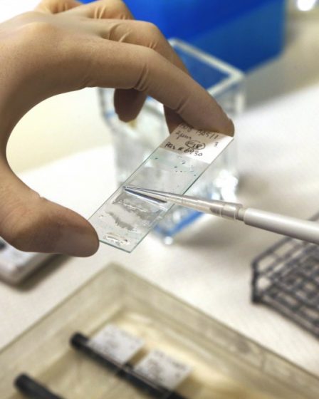 L'industrie norvégienne du cancer prend de l'ampleur 25 L'industrie norvégienne du cancer prend de l'ampleur - 24