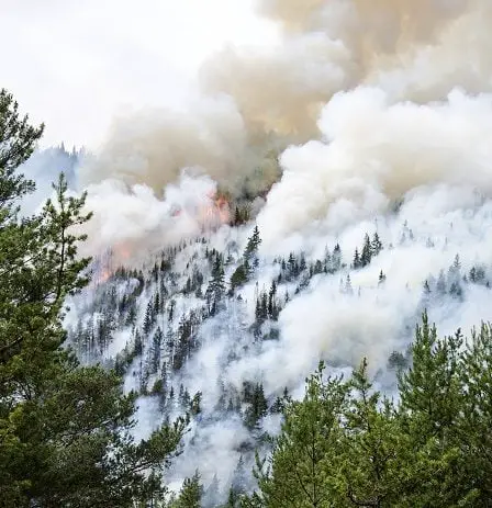 Incendies de forêt à Rogaland et à Vest-Agder - Norway Today 2 Incendies de forêt à Rogaland et à Vest-Agder - Norway Today - 1