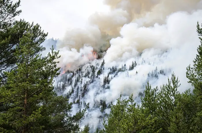 Incendies de forêt à Rogaland et à Vest-Agder - Norway Today 4 Incendies de forêt à Rogaland et à Vest-Agder - Norway Today - 3