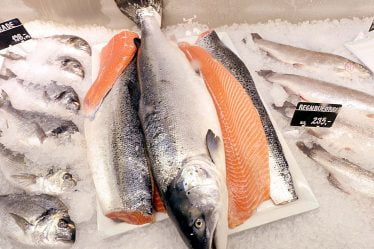 De bons moments pour l'exportation norvégienne de produits de la mer - 20