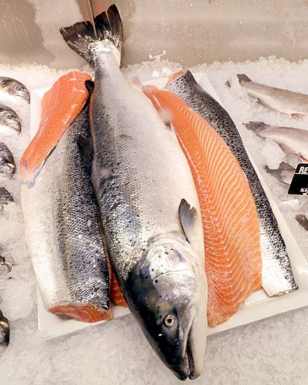 De bons moments pour l'exportation norvégienne de produits de la mer 20 De bons moments pour l'exportation norvégienne de produits de la mer - 19