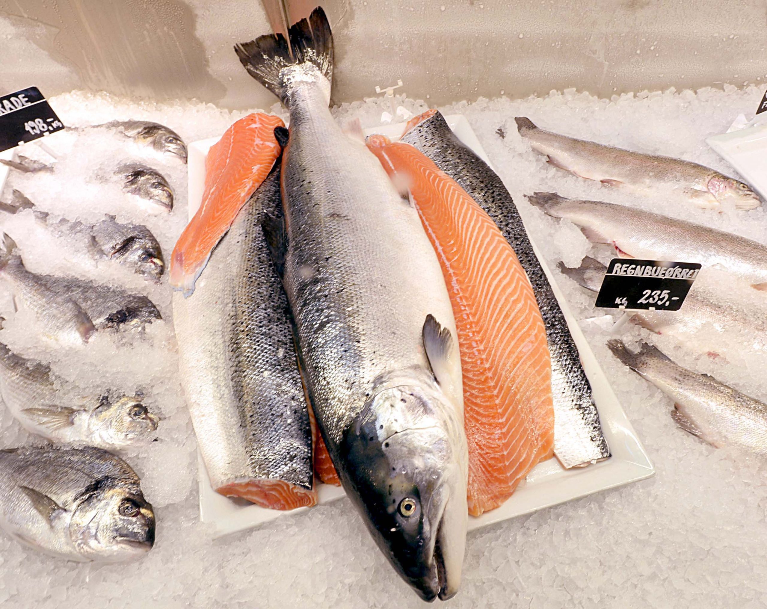 De bons moments pour l'exportation norvégienne de produits de la mer 4 De bons moments pour l'exportation norvégienne de produits de la mer - 3
