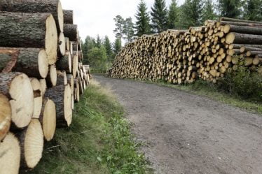 Forte augmentation des revenus pour les propriétaires forestiers - 19