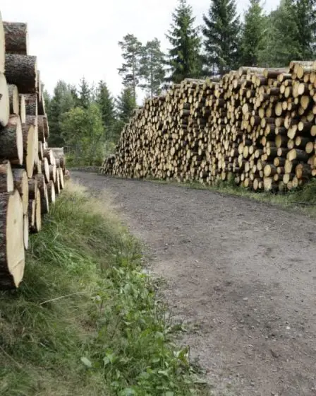 Forte augmentation des revenus pour les propriétaires forestiers 17 Forte augmentation des revenus pour les propriétaires forestiers - 16
