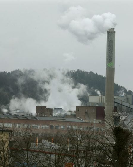 La société forestière norvégienne Saugbrugs reçoit des millions de dollars de soutien financier d'Innovation Norway 25 La société forestière norvégienne Saugbrugs reçoit des millions de dollars de soutien financier d'Innovation Norway - 24