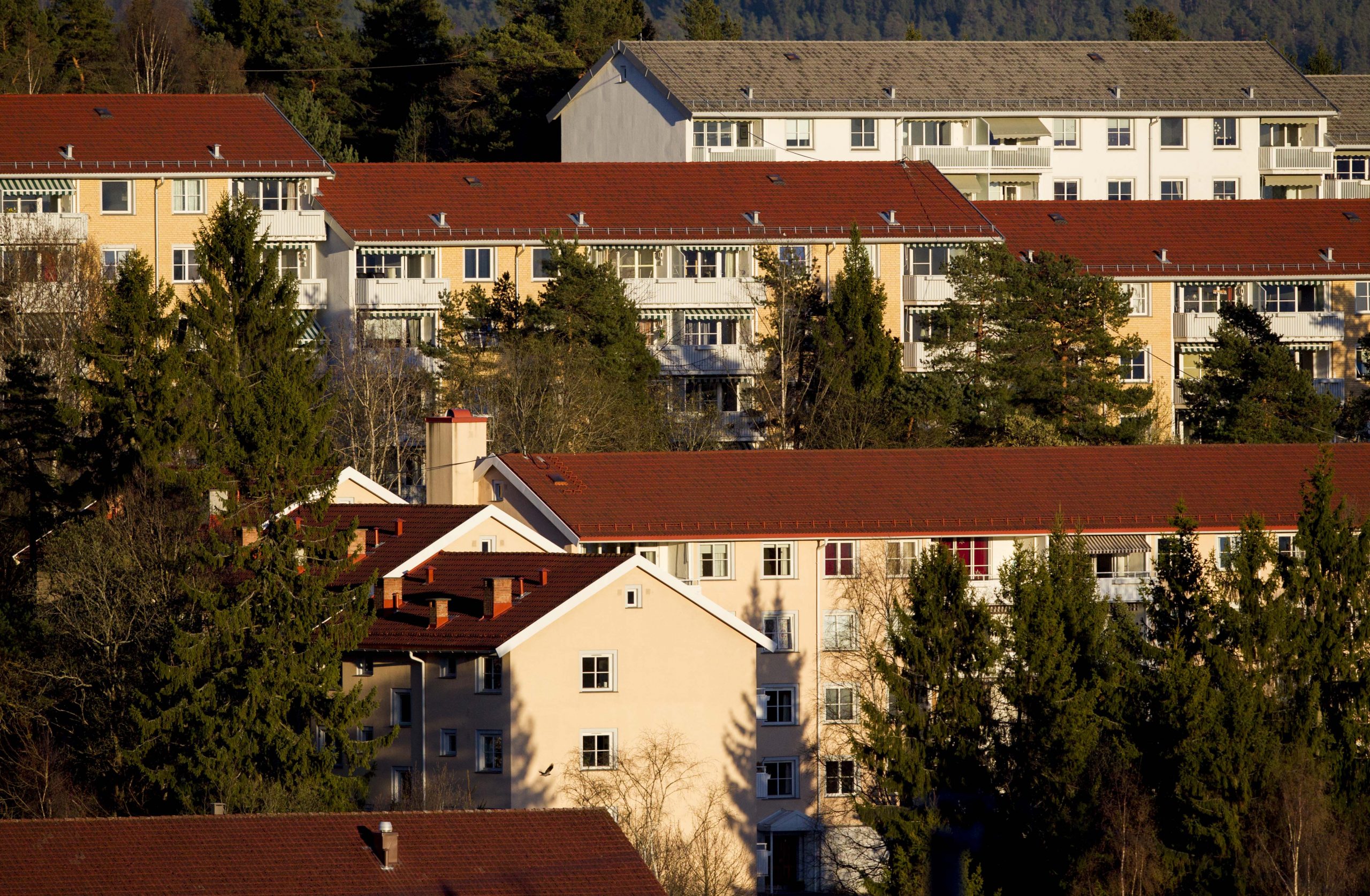 Les agences immobilières croient à la poursuite de la hausse des prix des logements en mai 4 Les agences immobilières croient à la poursuite de la hausse des prix des logements en mai - 3