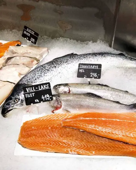 Marine Harvest Norway porte plainte auprès de l'ESA 26 Marine Harvest Norway porte plainte auprès de l'ESA - 25