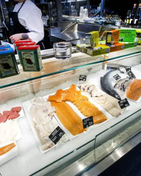 Les exportations norvégiennes de produits de la mer augmentent de 29% en février 17 Les exportations norvégiennes de produits de la mer augmentent de 29% en février - 16