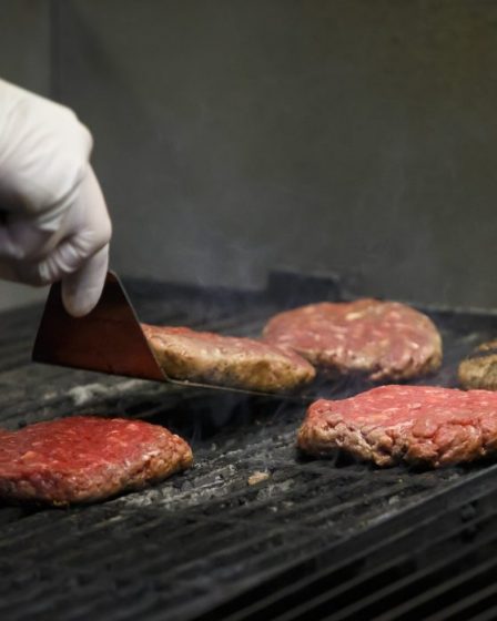 Épidémie de salmonelles - La Norvège aujourd'hui 11 Épidémie de salmonelles - La Norvège aujourd'hui - 10