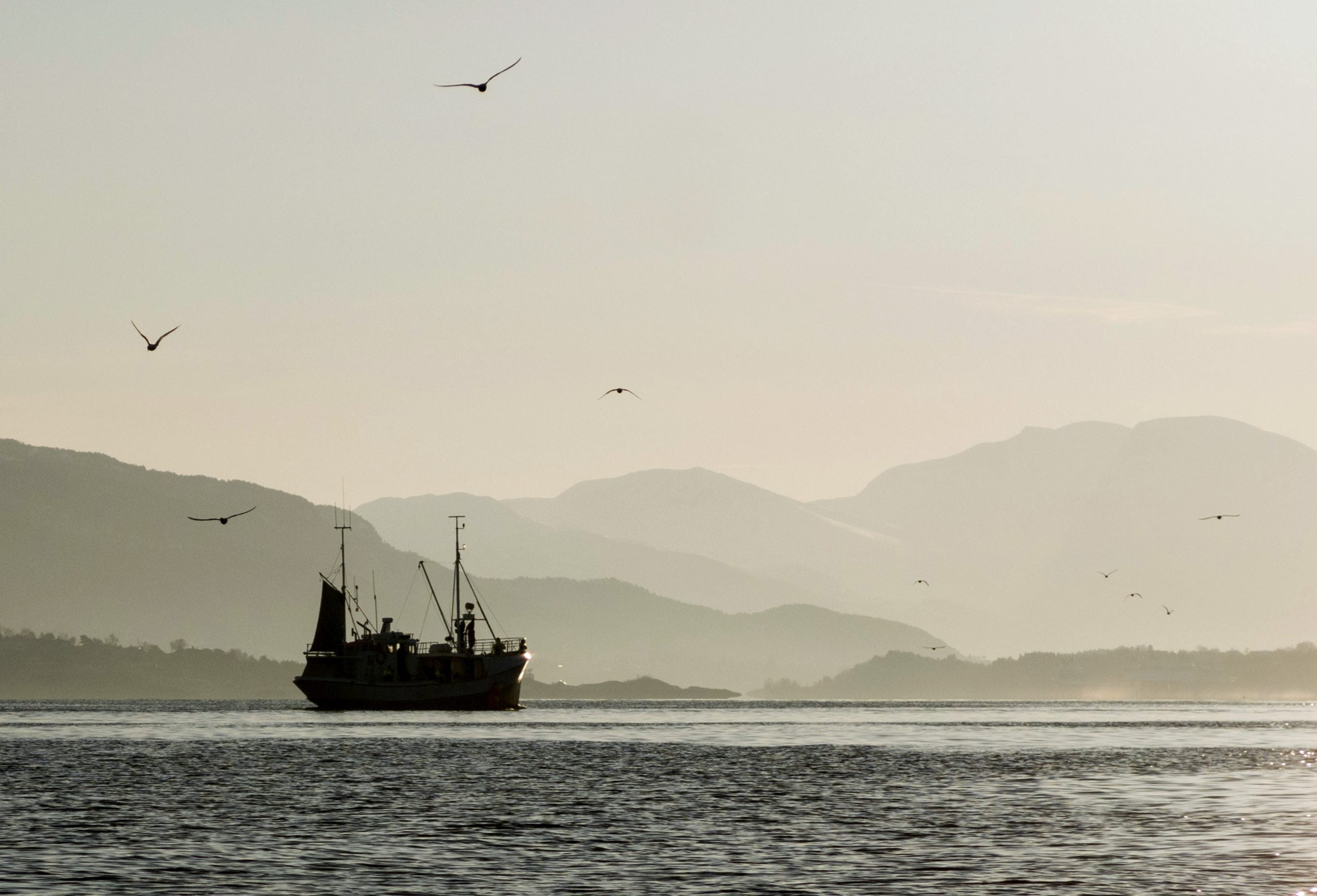 Le Brexit pourrait affecter les pêcheurs norvégiens 4 Le Brexit pourrait affecter les pêcheurs norvégiens - 3