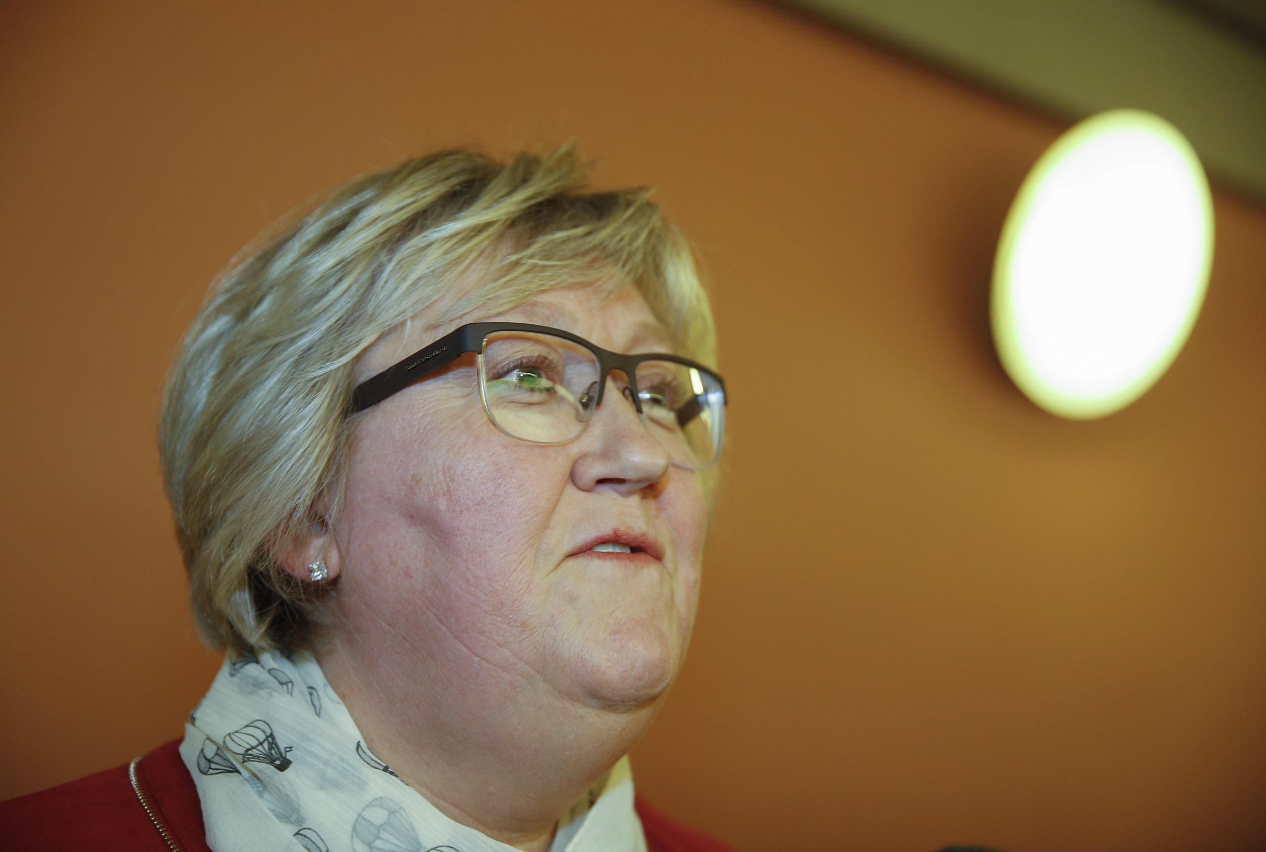 Aspaker pense que la Norvège parviendra à un accord avec l'UE sur le commerce agricole 4 Aspaker pense que la Norvège parviendra à un accord avec l'UE sur le commerce agricole - 3