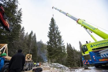 Arbre de Noël d'Oslo en route pour Londres - 18