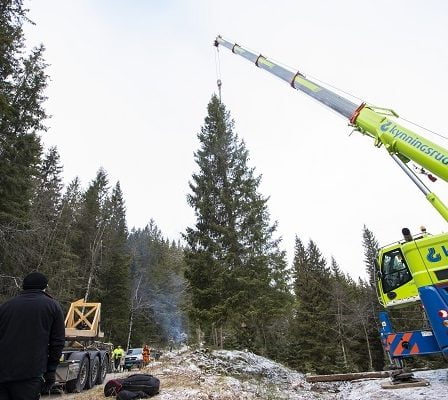 Arbre de Noël d'Oslo en route pour Londres 40 Arbre de Noël d'Oslo en route pour Londres - 39