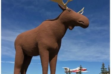 Stor-Elvdal et le Canadien Moose Jaw appellent au cessez-le-feu sur les statues - 20