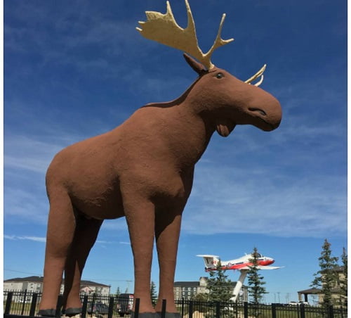 Stor-Elvdal et le Canadien Moose Jaw appellent au cessez-le-feu sur les statues 4 Stor-Elvdal et le Canadien Moose Jaw appellent au cessez-le-feu sur les statues - 3