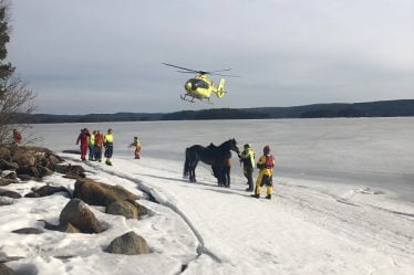 Cheval secouru par hélicoptère à Finnskogen - 16