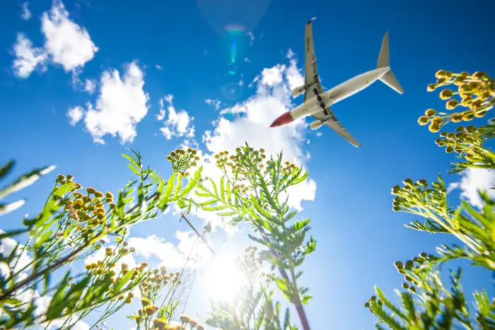Norwegian annonce une croissance du nombre de passagers et un facteur de charge solide en mai 4 Norwegian annonce une croissance du nombre de passagers et un facteur de charge solide en mai - 3