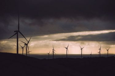 Exige l'arrêt du déclin de la nature norvégienne - 16