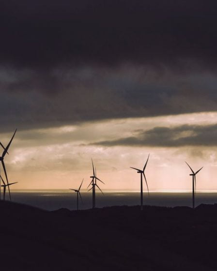 Exige l'arrêt du déclin de la nature norvégienne 29 Exige l'arrêt du déclin de la nature norvégienne - 28