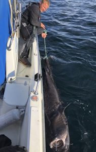 J'ai attrapé un requin de trois mètres de long 10 J'ai attrapé un requin de trois mètres de long - 9