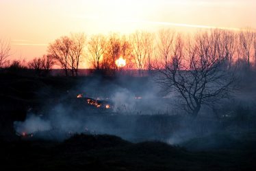 Feux de forêt à plusieurs endroits - 20