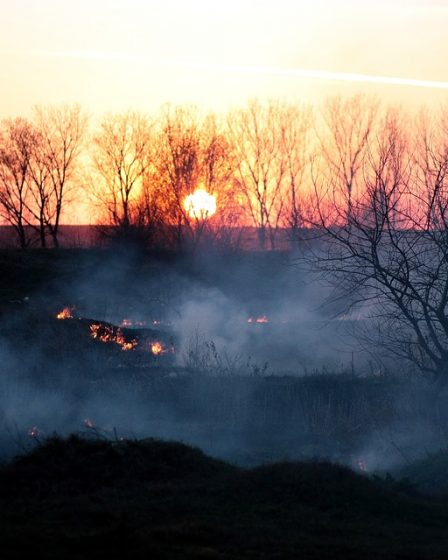 Feux de forêt à plusieurs endroits 2 Feux de forêt à plusieurs endroits - 1