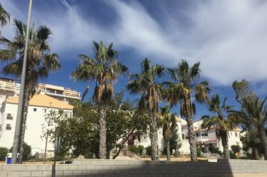 Une Norvégienne accusée de trafic de drogue en Espagne - 18