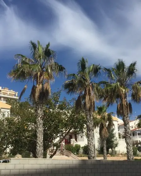 Une Norvégienne accusée de trafic de drogue en Espagne 27 Une Norvégienne accusée de trafic de drogue en Espagne - 26