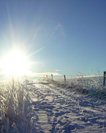 Le nord et l'est de la Norvège auront probablement le meilleur temps pendant le week-end de Palm 24 Le nord et l'est de la Norvège auront probablement le meilleur temps pendant le week-end de Palm - 23