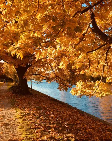 L'été en Norvège touche à sa fin - l'automne frappe à la porte 21 L'été en Norvège touche à sa fin - l'automne frappe à la porte - 20