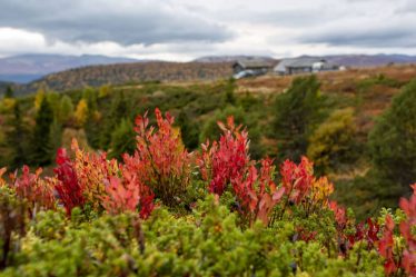 Nouveau record de chaleur possible dans le sud de la Norvège en septembre - 8