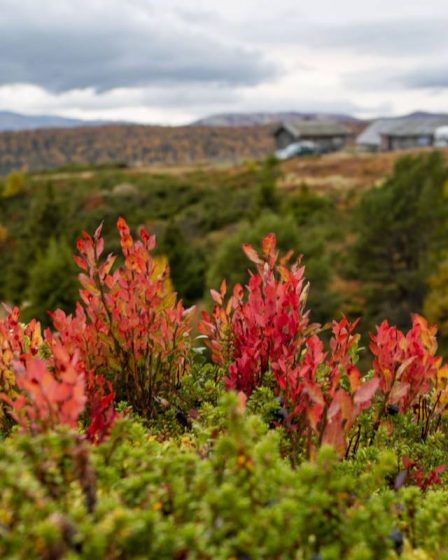Nouveau record de chaleur possible dans le sud de la Norvège en septembre 2 Nouveau record de chaleur possible dans le sud de la Norvège en septembre - 1