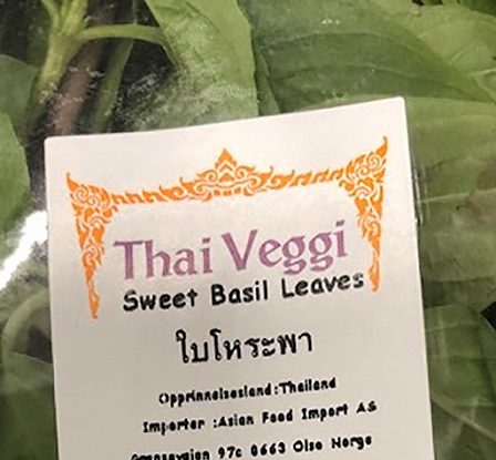 Basilic retiré des magasins après la découverte d'E. coli 17 Basilic retiré des magasins après la découverte d'E. coli - 16