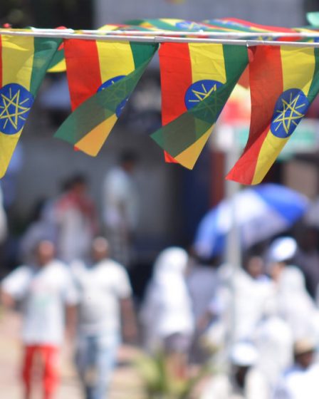 Wara dit que 521 Éthiopiens pourraient être renvoyés en Éthiopie - 7