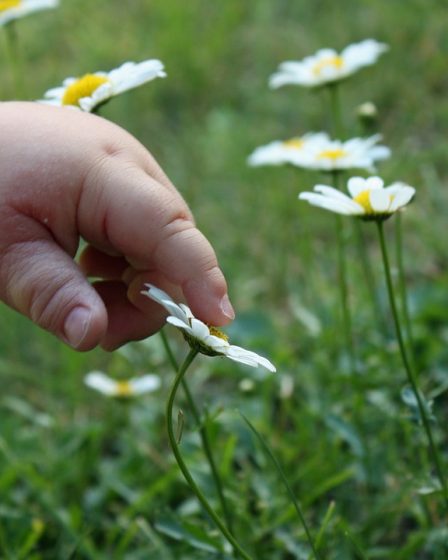 La Norvège soutient une nouvelle initiative visant à renforcer l'éducation des enfants handicapés 23 La Norvège soutient une nouvelle initiative visant à renforcer l'éducation des enfants handicapés - 22