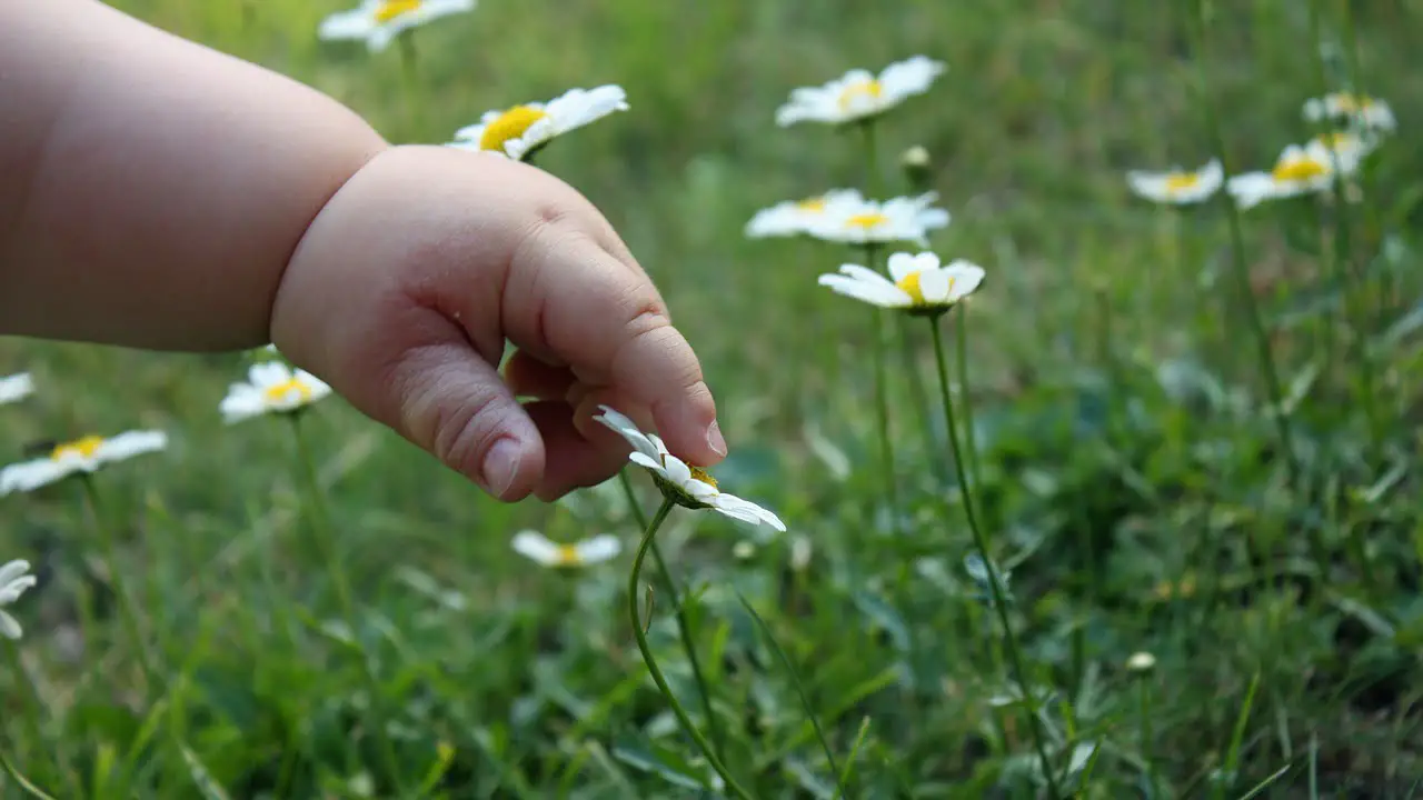 La Norvège soutient une nouvelle initiative visant à renforcer l'éducation des enfants handicapés 4 La Norvège soutient une nouvelle initiative visant à renforcer l'éducation des enfants handicapés - 3