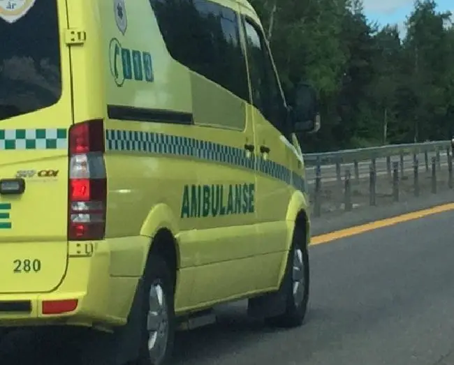 Un homme est mort après être tombé dans la rivière Gaula 4 Un homme est mort après être tombé dans la rivière Gaula - 3