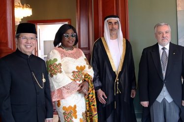 Nouveaux ambassadeurs d'Indonésie, des Émirats arabes unis, de l'Équateur et du Ghana - 16