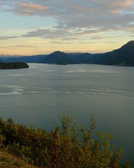 Rechercher un employé de WikiLeaks dans le Nordland 26 Rechercher un employé de WikiLeaks dans le Nordland - 25