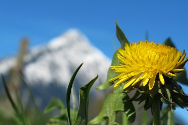 La semaine prochaine, le printemps arrive dans le sud de la Norvège - 18