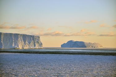 Une oasis dans l'Arctique a maintenu la vie marine - 16