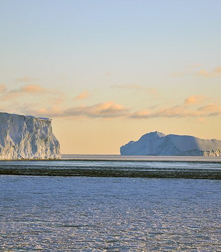 Une oasis dans l'Arctique a maintenu la vie marine 5 Une oasis dans l'Arctique a maintenu la vie marine - 4