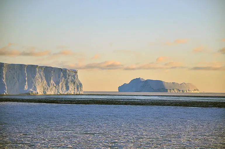 Une oasis dans l'Arctique a maintenu la vie marine 4 Une oasis dans l'Arctique a maintenu la vie marine - 3