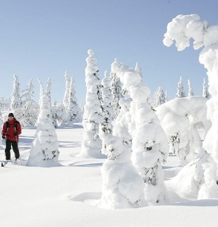 La vague de froid hivernale devrait se terminer dans le sud de la Norvège 23 La vague de froid hivernale devrait se terminer dans le sud de la Norvège - 22