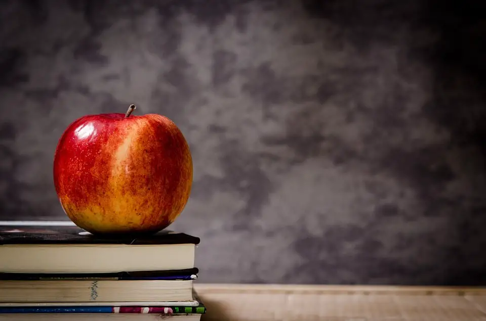 De nombreux enfants disparaissent des écoles primaires d'Oslo 4 De nombreux enfants disparaissent des écoles primaires d'Oslo - 3