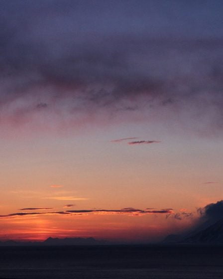 Une touriste allemande attaquée par un ours polaire au Svalbard 18 Une touriste allemande attaquée par un ours polaire au Svalbard - 17