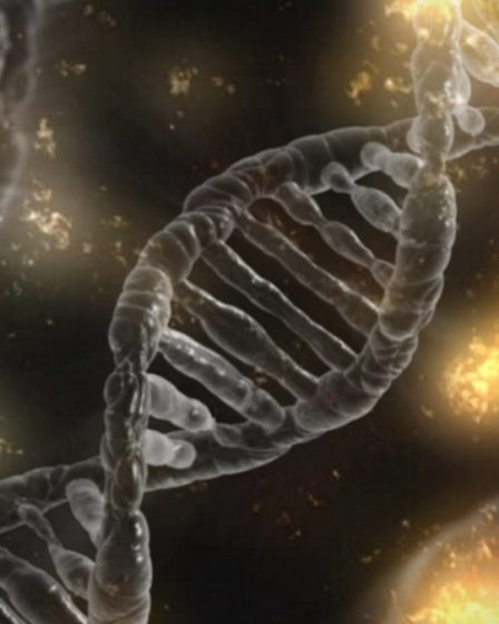 L'ADN ancien met en lumière les origines mystérieuses des premiers Scandinaves - 11