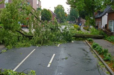 Plusieurs lignes de chemin de fer sont fermées en raison de vents violents - 6