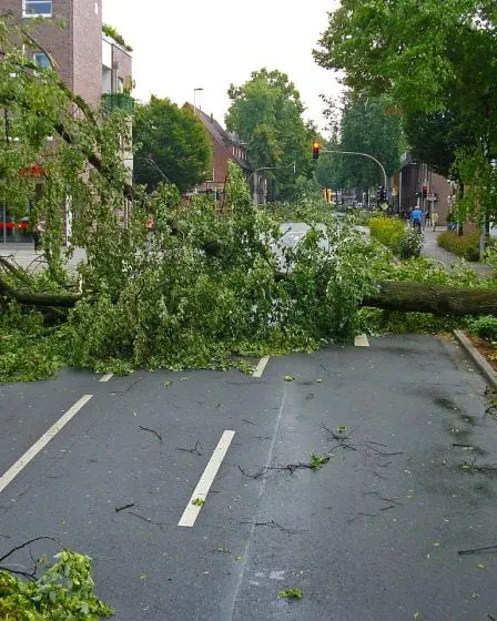 Plusieurs lignes de chemin de fer sont fermées en raison de vents violents - 22